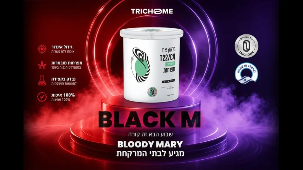 Black M medical cannabis flower by Trichome