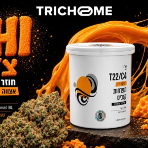 Chi medical cannabis flower by Trichome