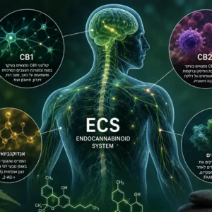 ECS POST