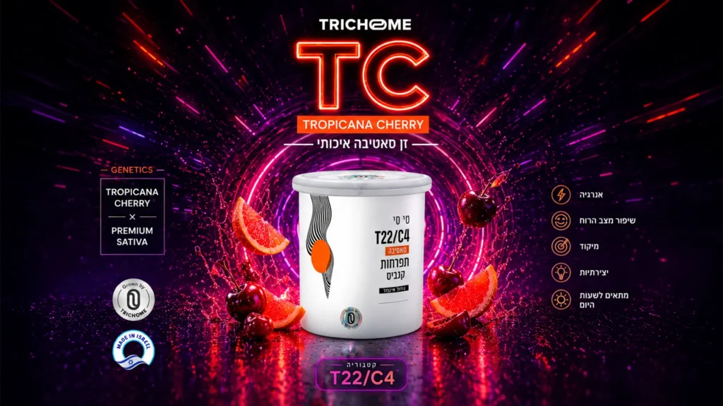 TC Tropicana Cherry medical cannabis flower by Trichome