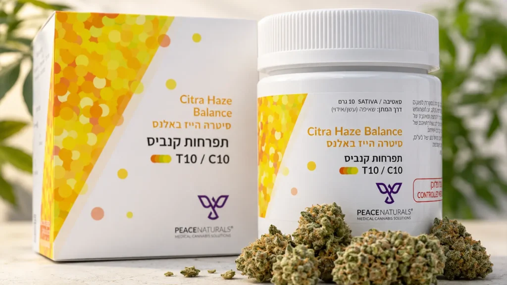 סיטרה הייז באלנס (Citra Haze Balance) - זן קנאביס רפואי בקטגוריית T10/C10 מסוג סאטיבה, תפרחות קנאביס רפואי עם איזון בין THC ל-CBD.