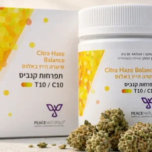 סיטרה הייז באלנס (Citra Haze Balance) - זן קנאביס רפואי בקטגוריית T10/C10 מסוג סאטיבה, תפרחות קנאביס רפואי עם איזון בין THC ל-CBD.