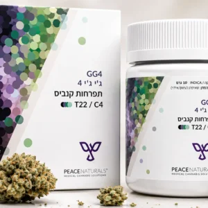 ג׳י.ג׳י.פור (GG4) - זן קנאביס רפואי T22/C4