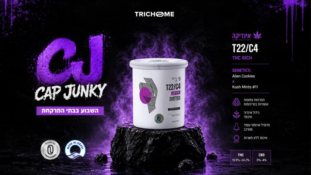 GJ Cap Junky T22/C4 מבית Trichome – זן קנאביס רפואי אינדיקה