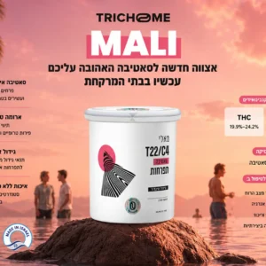 MALI (מאלי) - זן קנאביס רפואי מסוג סאטיבה T22/C4 מבית Trichome, תפרחות קנאביס בגידול אינדור בישראל.