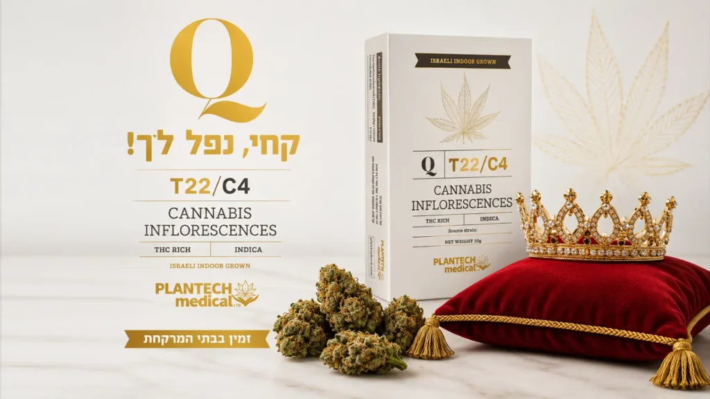 Q Queen T22/C4 זן קנאביס רפואי של Plantech Medical