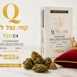Q Queen T22/C4 זן קנאביס רפואי של Plantech Medical