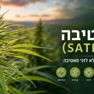 סאטיבה - מדריך מלא לזני סאטיבה, מאפיינים, טרפנים והשפעות בקנאביס רפואי.