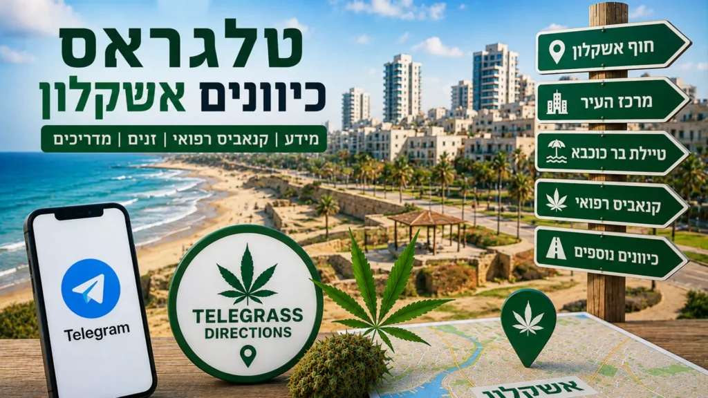 נוף העיר אשקלון עם אלמנטים גרפיים המסמלים טלגראס כיוונים אשקלון ומידע על קנאביס בישראל