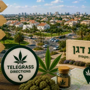 נוף היישוב בית דגן עם שכונות מגורים ושטחים ירוקים ואלמנטים גרפיים המסמלים טלגראס כיוונים בית דגן וכיוונים טלגראס ומידע על קנאביס בישראל
