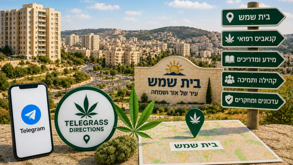 נוף העיר בית שמש עם אלמנטים גרפיים המסמלים טלגראס כיוונים בית שמש וכיוונים טלגראס ומידע על קנאביס בישראל