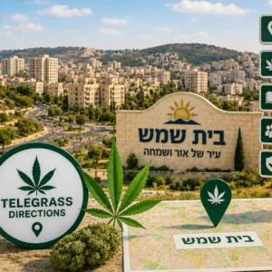נוף העיר בית שמש עם אלמנטים גרפיים המסמלים טלגראס כיוונים בית שמש וכיוונים טלגראס ומידע על קנאביס בישראל