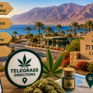 נוף קיבוץ אילות על רקע הרי אילת והמדבר עם אלמנטים גרפיים המסמלים טלגראס כיוונים אילות ומידע על קנאביס בישראל