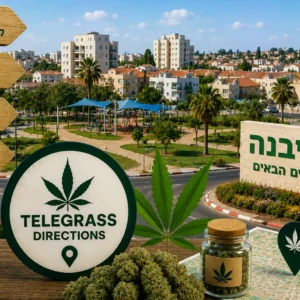 נוף גן יבנה עם פארקים ושכונות מגורים ואלמנטים גרפיים המסמלים טלגראס כיוונים גן יבנה וכיוונים טלגראס ומידע על קנאביס בישראל