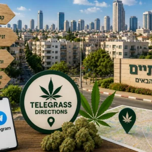 נוף העיר גבעתיים עם קו הרקיע של גוש דן ואלמנטים גרפיים המסמלים טלגראס כיוונים גבעתיים וכיוונים טלגראס ומידע על קנאביס בישראל