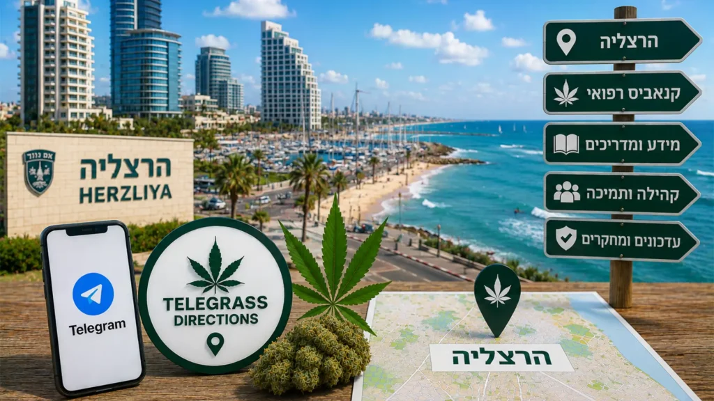 נוף העיר הרצליה עם אלמנטים גרפיים המסמלים טלגראס כיוונים הרצליה וכיוונים טלגראס ומידע על קנאביס בישראל