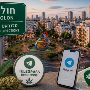 נוף העיר חולון עם אלמנטים גרפיים המסמלים טלגראס כיוונים חולון ומידע על קנאביס בישראל