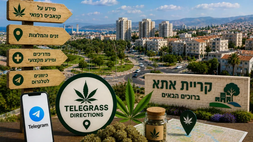 נוף העיר קריית אתא עם שכונות מגורים ואלמנטים גרפיים המסמלים טלגראס כיוונים קריית אתא וכיוונים טלגראס ומידע על קנאביס בישראל