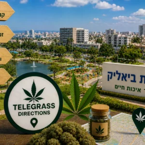 נוף העיר קריית ביאליק עם פארקים ושכונות מגורים ואלמנטים גרפיים המסמלים טלגראס כיוונים קריית ביאליק וכיוונים טלגראס ומידע על קנאביס בישראל