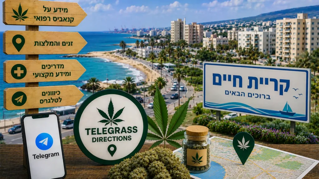 נוף חוף הים ושכונות קריית חיים עם אלמנטים גרפיים המסמלים טלגראס כיוונים קריית חיים וכיוונים טלגראס ומידע על קנאביס בישראל