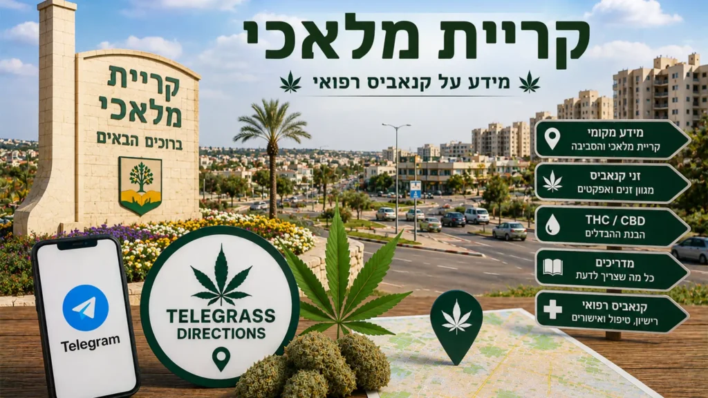 נוף העיר קריית מלאכי עם אלמנטים גרפיים המסמלים טלגראס כיוונים קריית מלאכי וכיוונים טלגראס ומידע על קנאביס בישראל