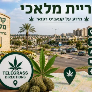 נוף העיר קריית מלאכי עם אלמנטים גרפיים המסמלים טלגראס כיוונים קריית מלאכי וכיוונים טלגראס ומידע על קנאביס בישראל