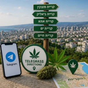 נוף אזור הקריות עם אלמנטים גרפיים המסמלים טלגראס כיוונים הקריות ומידע על קנאביס בישראל