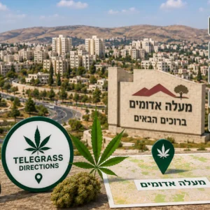 נוף העיר מעלה אדומים עם אלמנטים גרפיים המסמלים טלגראס כיוונים מעלה אדומים וכיוונים טלגראס ומידע על קנאביס בישראל