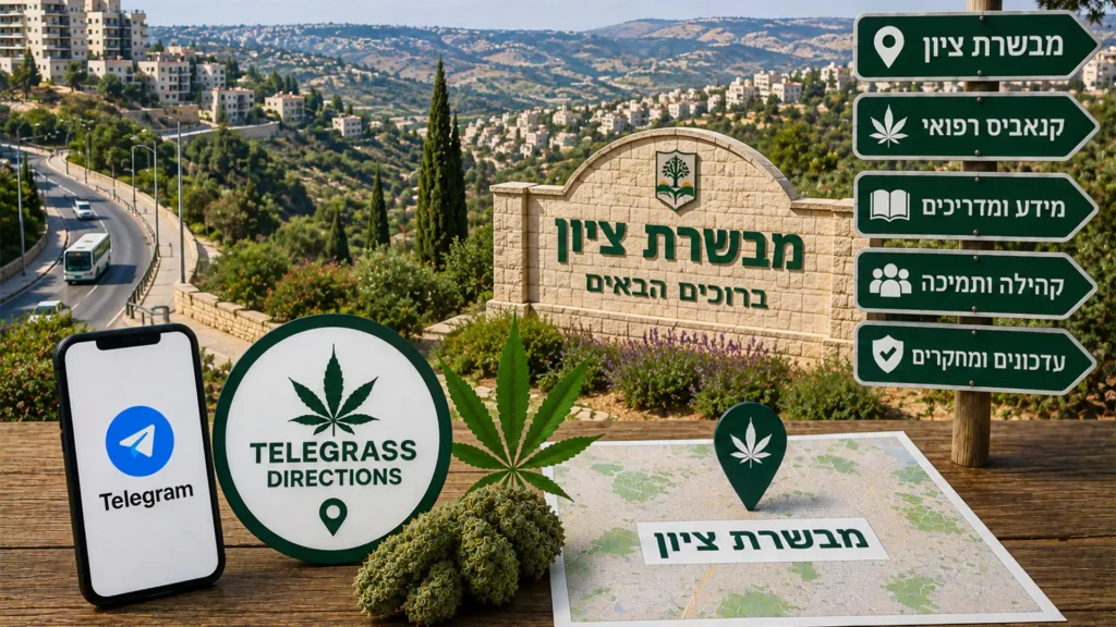 נוף מבשרת ציון עם אלמנטים גרפיים המסמלים טלגראס כיוונים מבשרת ציון וכיוונים טלגראס ומידע על קנאביס בישראל