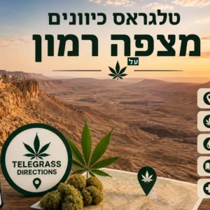 נוף מכתש רמון במצפה רמון עם אלמנטים גרפיים המסמלים טלגראס כיוונים מצפה רמון וכיוונים טלגראס ומידע על קנאביס בישראל