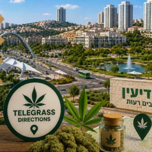 נוף העיר מודיעין עם פארקים ומבנים מודרניים ואלמנטים גרפיים המסמלים טלגראס כיוונים מודיעין וכיוונים טלגראס ומידע על קנאביס בישראל