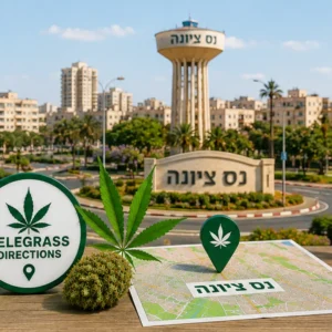 נוף העיר נס ציונה עם אלמנטים גרפיים המסמלים טלגראס כיוונים נס ציונה וכיוונים טלגראס ומידע על קנאביס בישראל