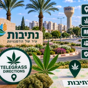 נוף העיר נתיבות עם אלמנטים גרפיים המסמלים טלגראס כיוונים נתיבות וכיוונים טלגראס ומידע על קנאביס בישראל