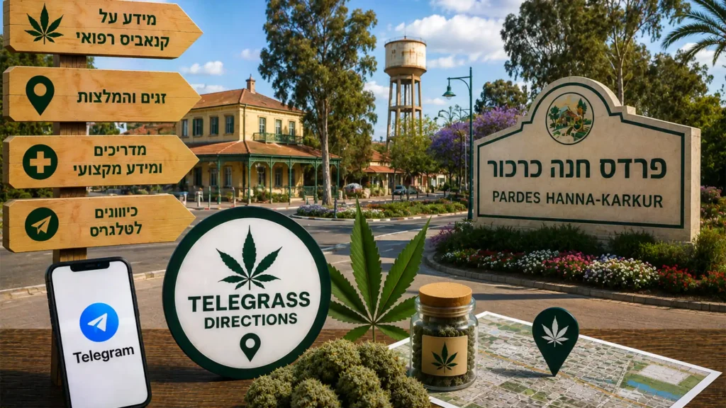 נוף פרדס חנה כרכור עם עצי אקליפטוס, שדות ירוקים ורחובות המושבה לצד אלמנטים גרפיים המסמלים טלגראס כיוונים פרדס חנה כרכור ומידע על קנאביס בישראל