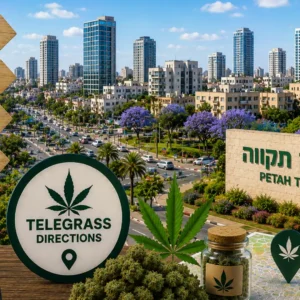 נוף העיר פתח תקווה עם אלמנטים גרפיים המסמלים טלגראס כיוונים פתח תקווה וכיוונים טלגראס ומידע על קנאביס בישראל