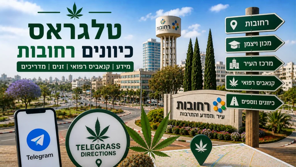 נוף העיר רחובות עם אלמנטים גרפיים המסמלים טלגראס כיוונים רחובות ומידע על קנאביס בישראל