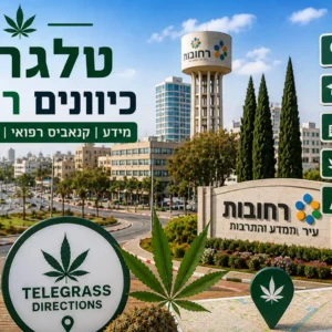 נוף העיר רחובות עם אלמנטים גרפיים המסמלים טלגראס כיוונים רחובות ומידע על קנאביס בישראל