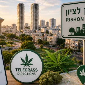 נוף העיר ראשון לציון עם אלמנטים גרפיים המסמלים טלגראס כיוונים ראשון לציון ומידע על קנאביס בישראל