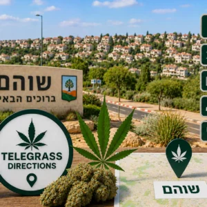 נוף היישוב שוהם עם אלמנטים גרפיים המסמלים טלגראס כיוונים שוהם וכיוונים טלגראס ומידע על קנאביס בישראל