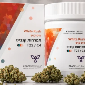 זן הקנאביס הרפואי White Kush (ווייט קוש) - תפרחות קנאביס רפואי בקטגוריית T22/C4 עם אריזה וצנצנת, סקירת זן.