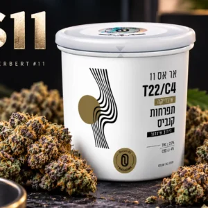 זן הקנאביס הרפואי RS11 (Rainbow Sherbert #11) של Trichome בקטגוריית T22/C4 עם פרחים עשירים בטריכומות