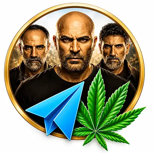 טלגראס כיוונים פאודה ישראל