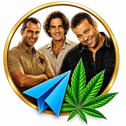 טלגראס כיוונים רמזור