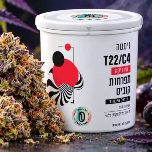 זן הקנאביס הרפואי Vista (ויסטה) של Trichome בקטגוריית T22/C4 בגידול Indoor